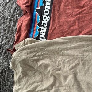 Patagonia Rust and Beige Logo Tee